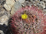 mar15jtnp12