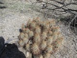 mar15jtnp13