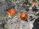 mar15jtnp42